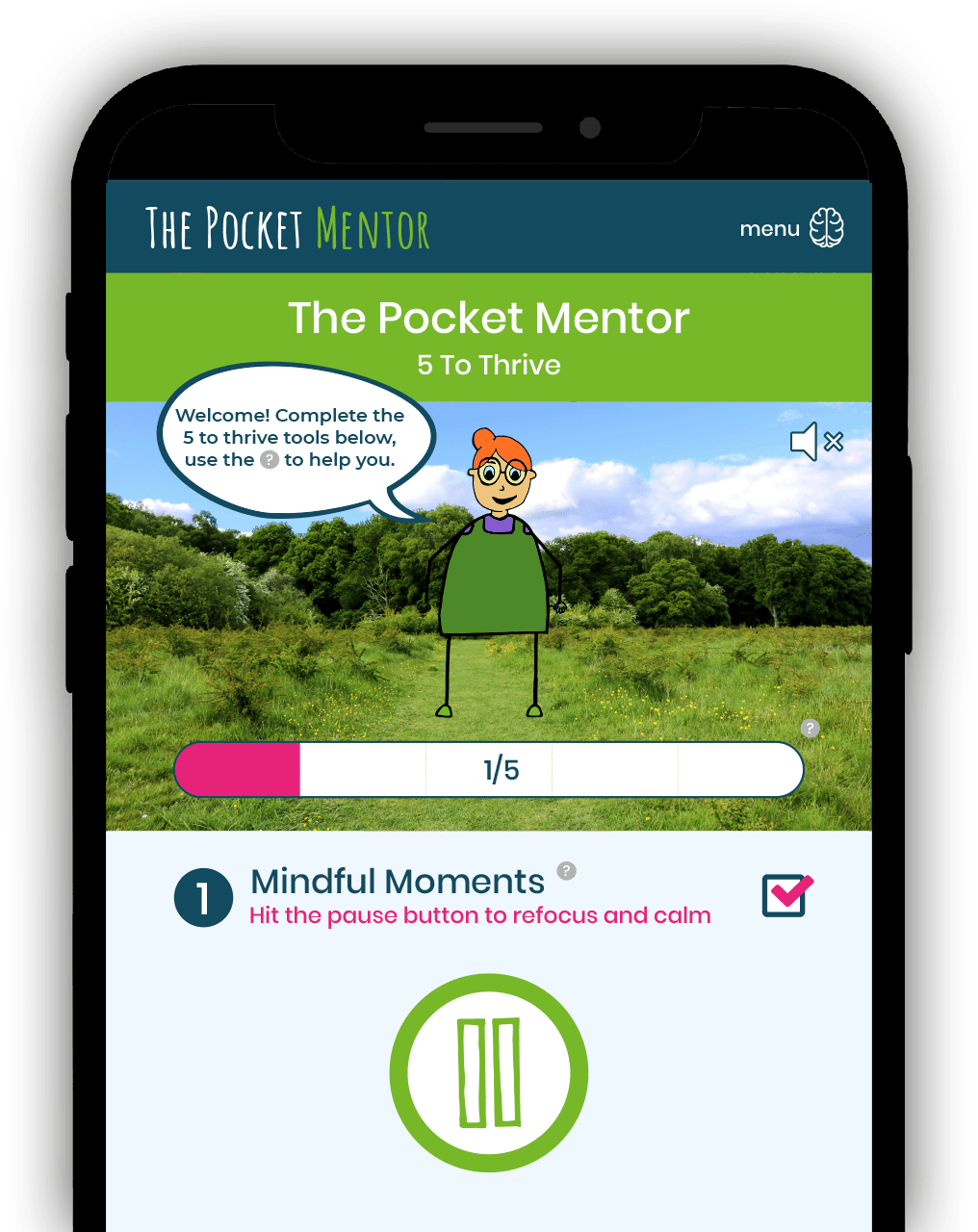 The Pocket Mentor